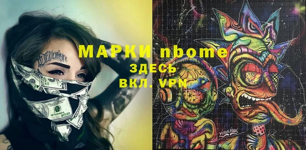 гидра Богородицк