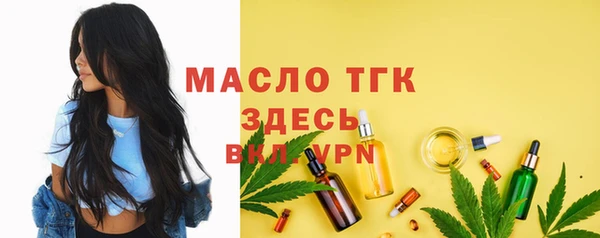 гидра Богородицк
