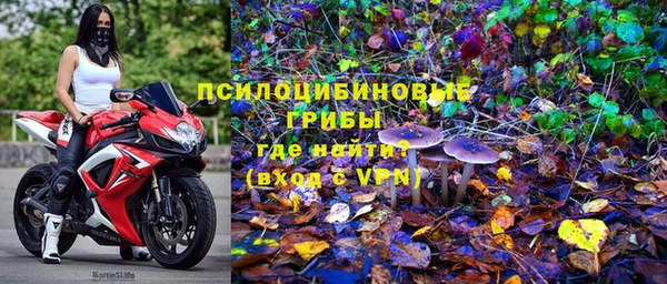 гидра Богородицк