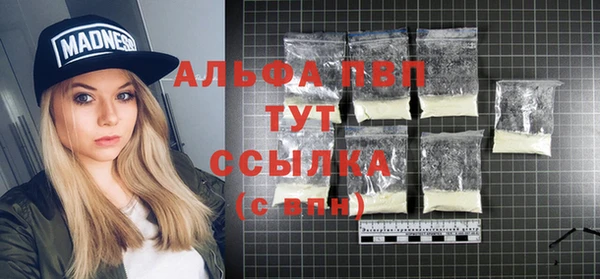 гидра Богородицк
