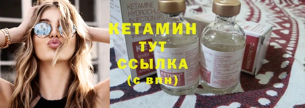 гидра Богородицк