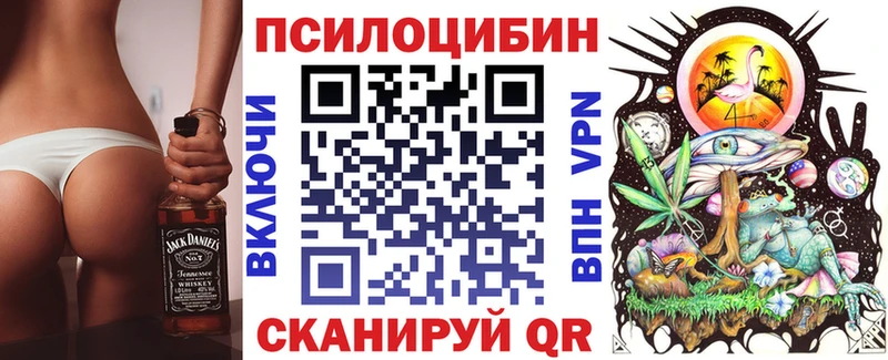 Псилоцибиновые грибы ЛСД  omg ссылки  Горно-Алтайск 
