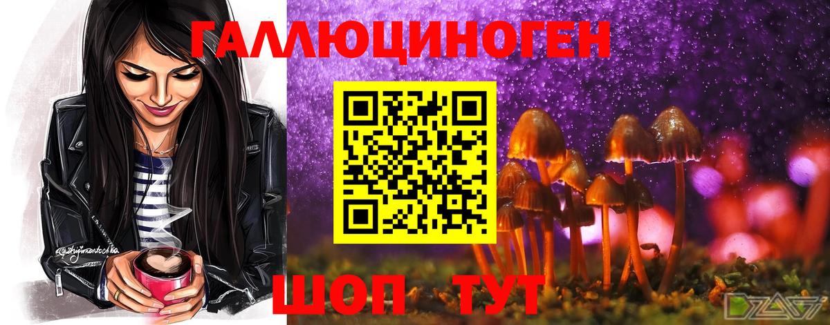Галлюциногенные грибы Psilocybe  Вход с VPN  Горно-Алтайск 